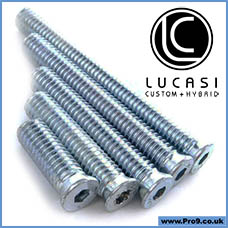 Lucasi Cue Weight Kit